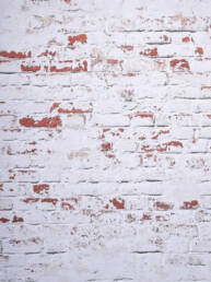 White Distressed Brick